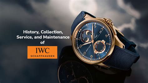 iwc schaffhausen past collection